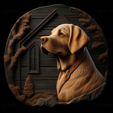 3D model Danish Swedish farm dog (STL)